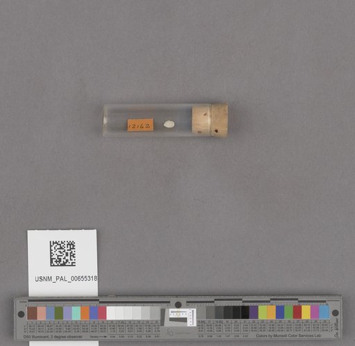 NSF ADBC EPICC TCN