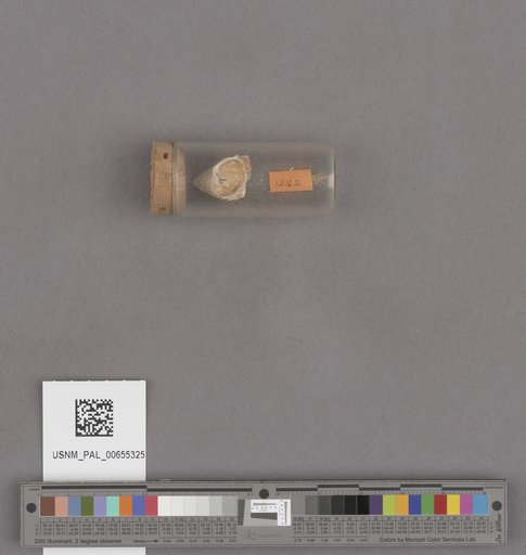 NSF ADBC EPICC TCN