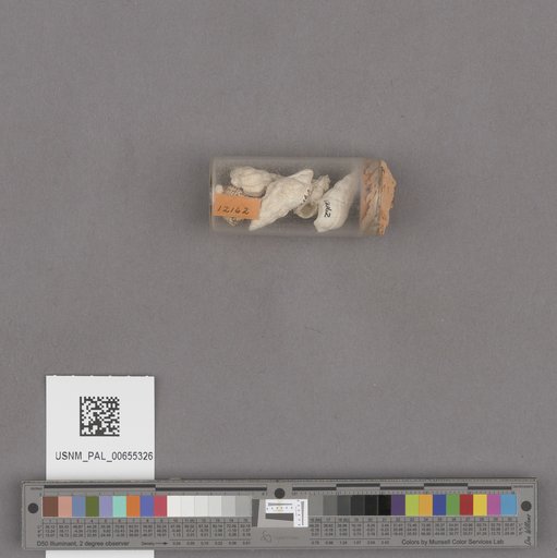 NSF ADBC EPICC TCN
