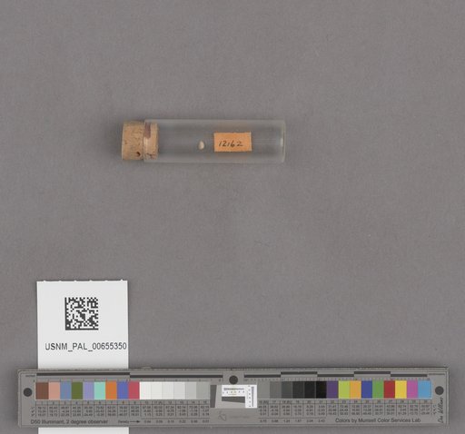 NSF ADBC EPICC TCN
