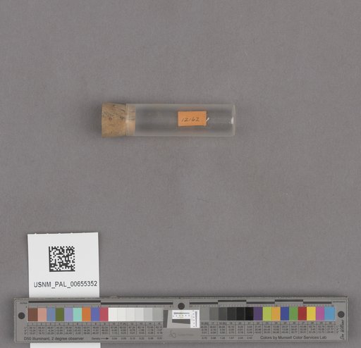 NSF ADBC EPICC TCN