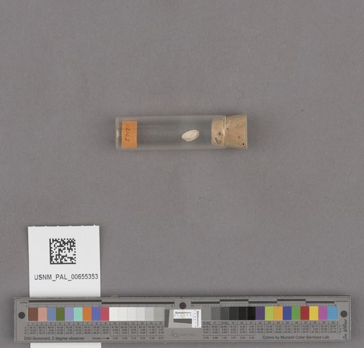 NSF ADBC EPICC TCN