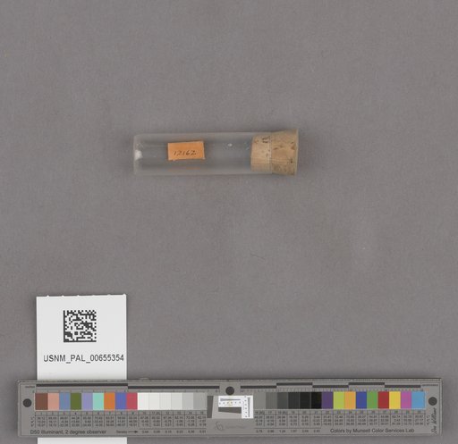 NSF ADBC EPICC TCN
