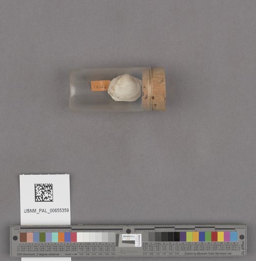 NSF ADBC EPICC TCN