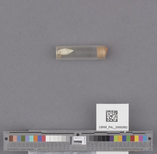 NSF ADBC EPICC TCN