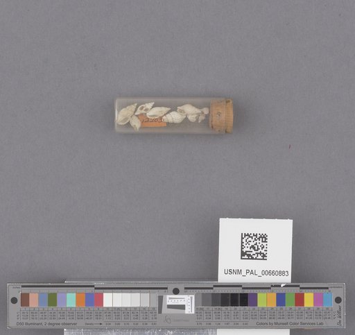 NSF ADBC EPICC TCN