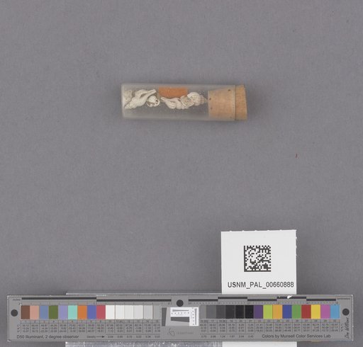 NSF ADBC EPICC TCN
