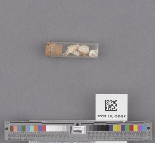 NSF ADBC EPICC TCN