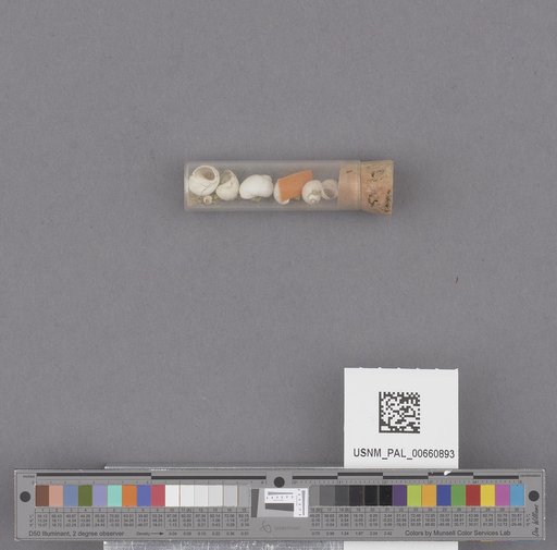NSF ADBC EPICC TCN