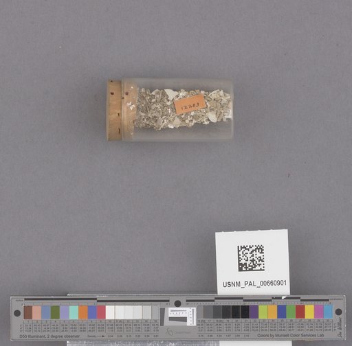 NSF ADBC EPICC TCN