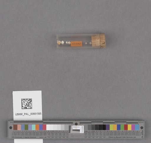 NSF ADBC EPICC TCN