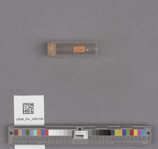 NSF ADBC EPICC TCN