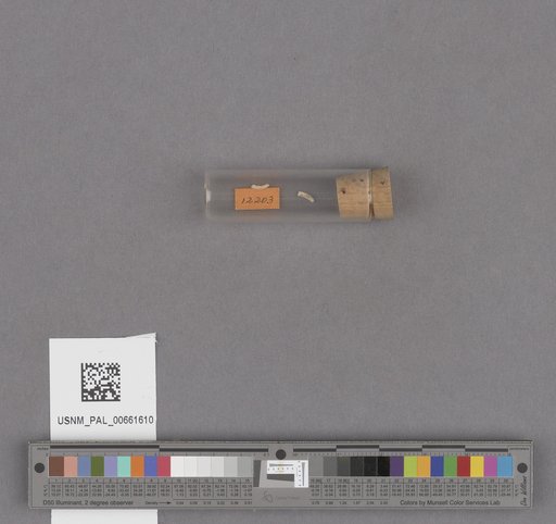 NSF ADBC EPICC TCN