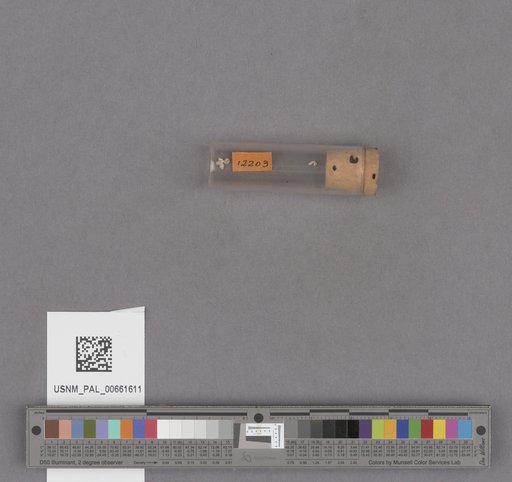 NSF ADBC EPICC TCN