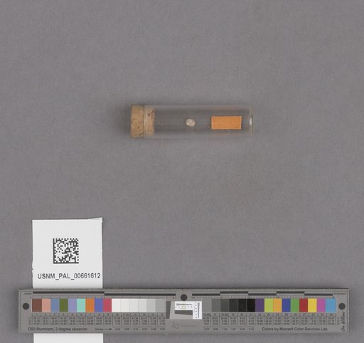 NSF ADBC EPICC TCN