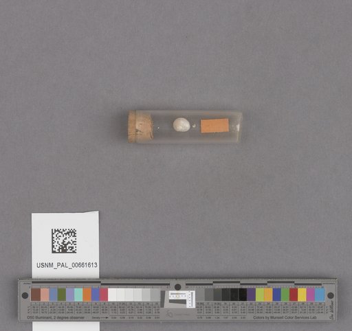 NSF ADBC EPICC TCN
