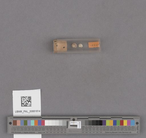 NSF ADBC EPICC TCN