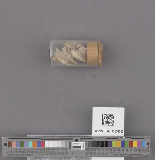 NSF ADBC EPICC TCN