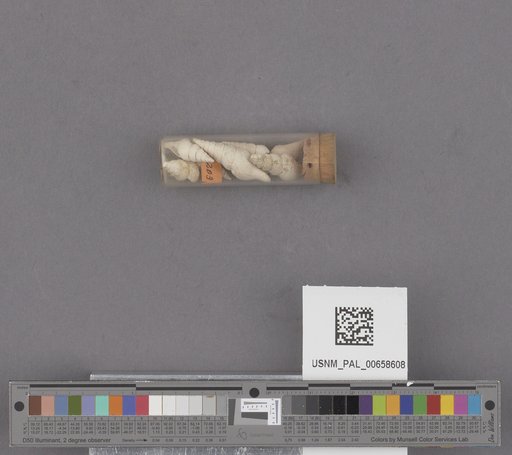 NSF ADBC EPICC TCN
