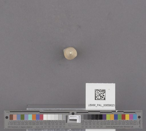 NSF ADBC EPICC TCN
