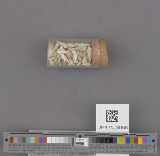 NSF ADBC EPICC TCN