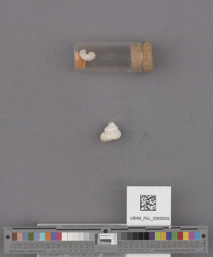 NSF ADBC EPICC TCN