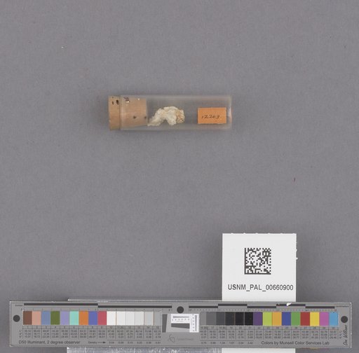 NSF ADBC EPICC TCN