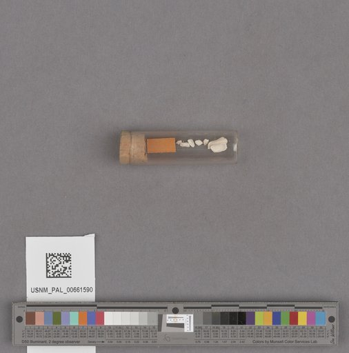 NSF ADBC EPICC TCN