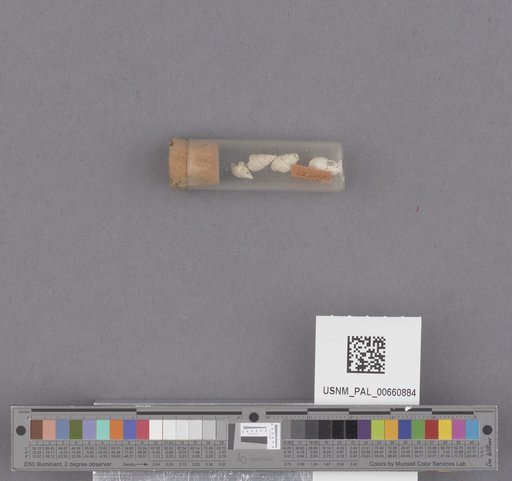 NSF ADBC EPICC TCN