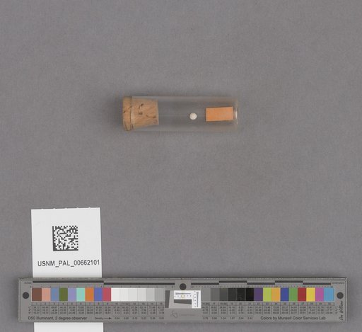 NSF ADBC EPICC TCN
