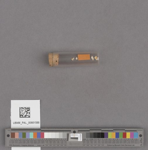 NSF ADBC EPICC TCN