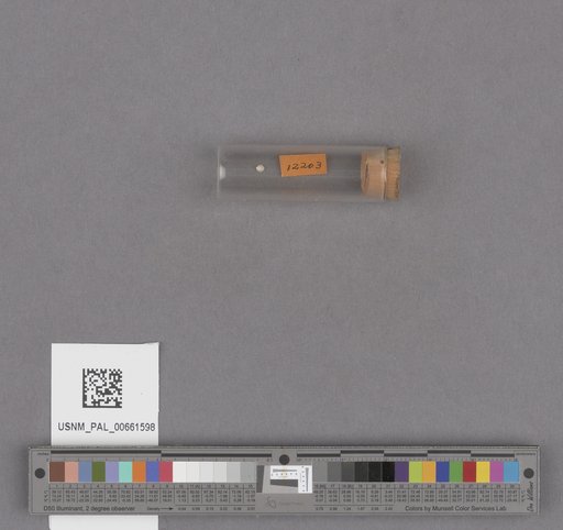 NSF ADBC EPICC TCN