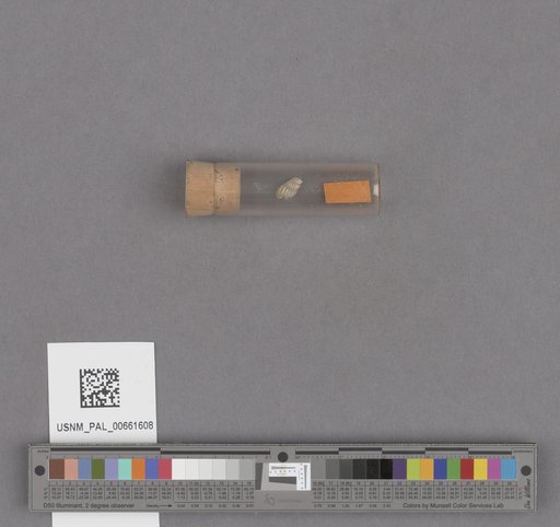 NSF ADBC EPICC TCN