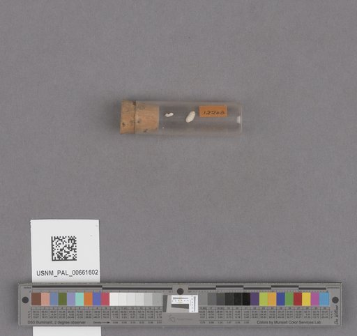 NSF ADBC EPICC TCN