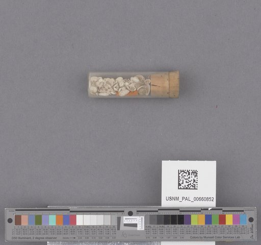 NSF ADBC EPICC TCN