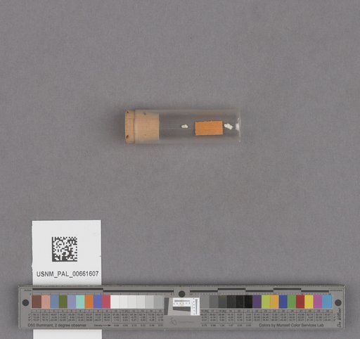NSF ADBC EPICC TCN