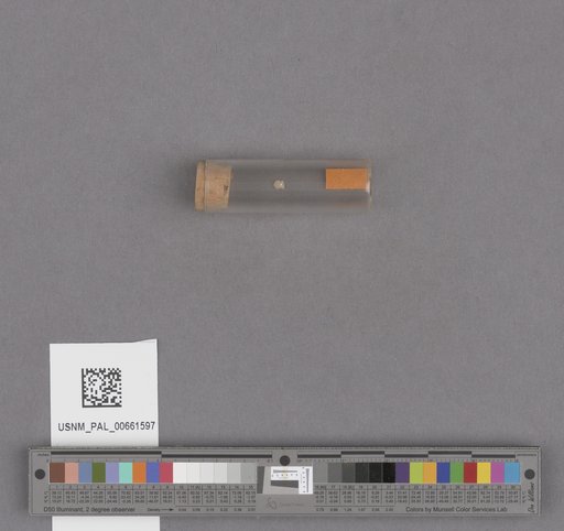 NSF ADBC EPICC TCN