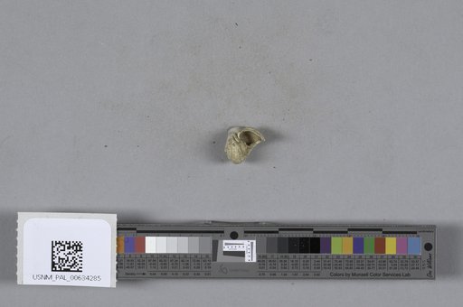 NSF ADBC EPICC TCN