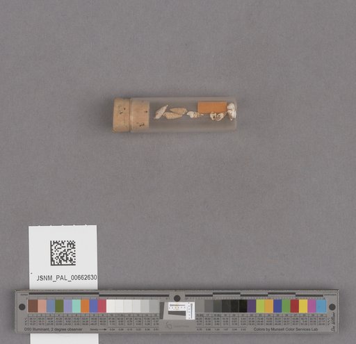 NSF ADBC EPICC TCN