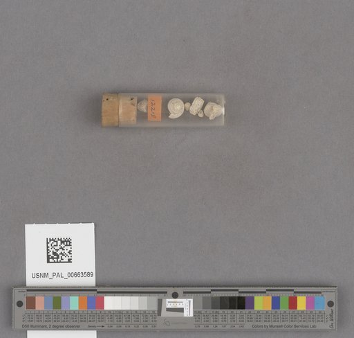 NSF ADBC EPICC TCN