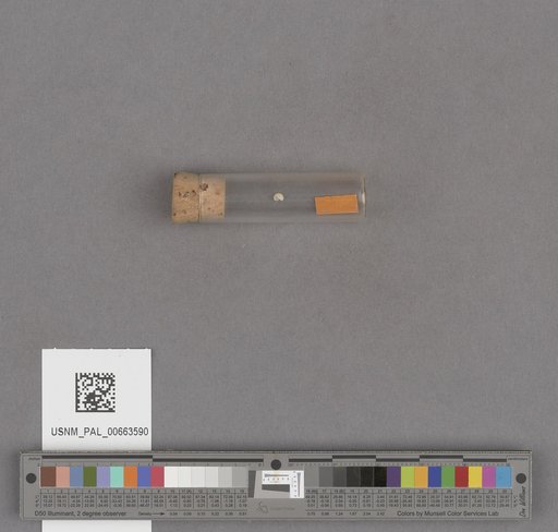 NSF ADBC EPICC TCN