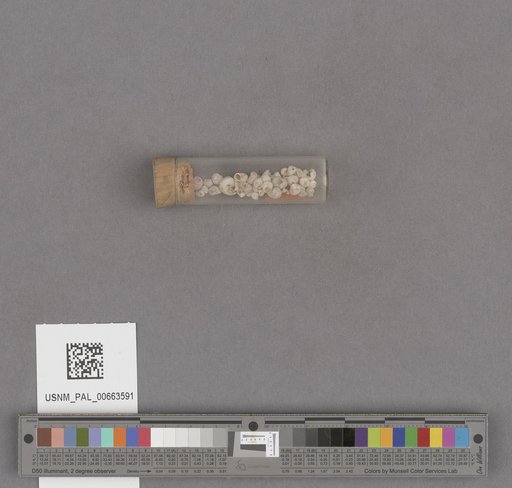 NSF ADBC EPICC TCN