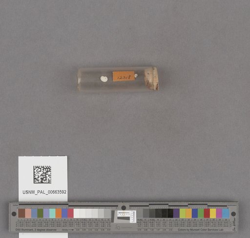 NSF ADBC EPICC TCN