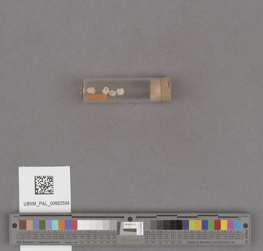 NSF ADBC EPICC TCN