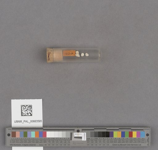 NSF ADBC EPICC TCN