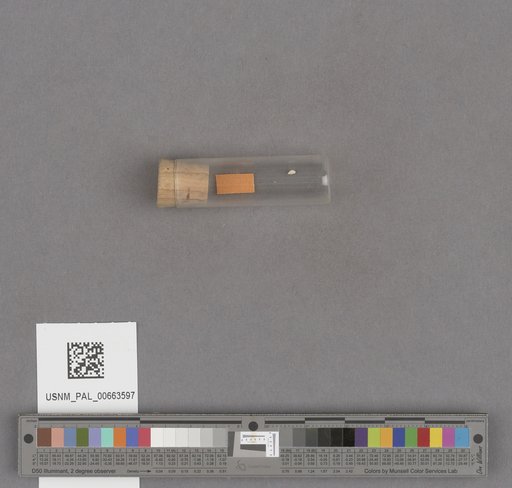 NSF ADBC EPICC TCN