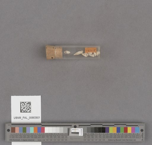 NSF ADBC EPICC TCN