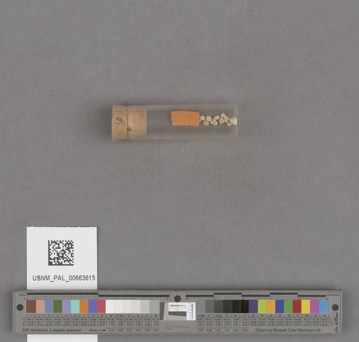 NSF ADBC EPICC TCN