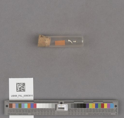 NSF ADBC EPICC TCN