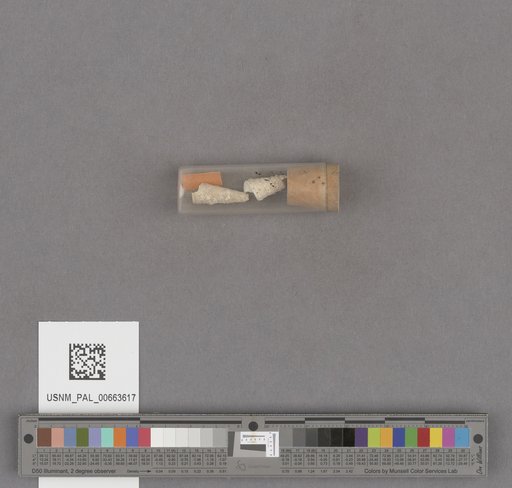 NSF ADBC EPICC TCN